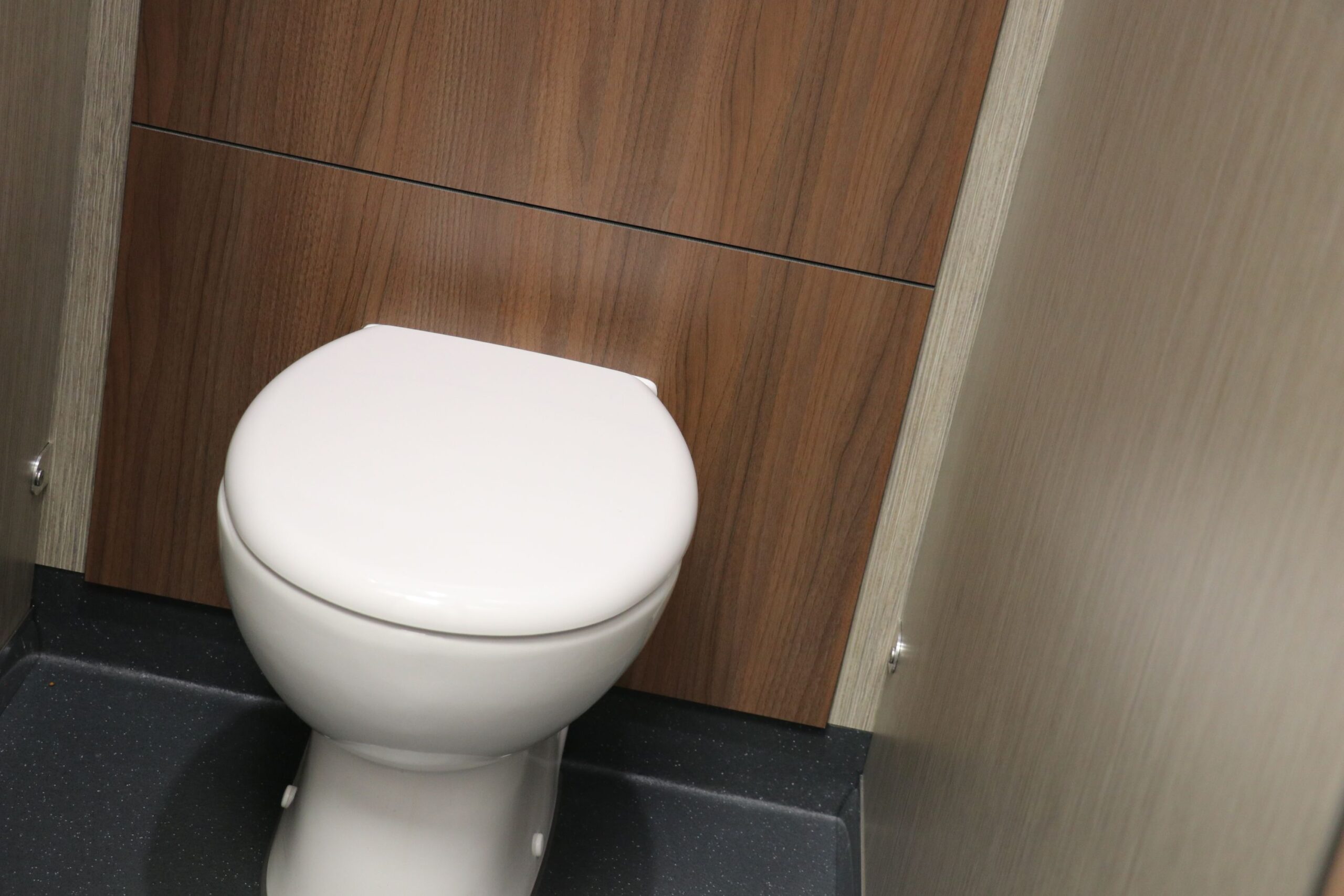 back to wall WC pan