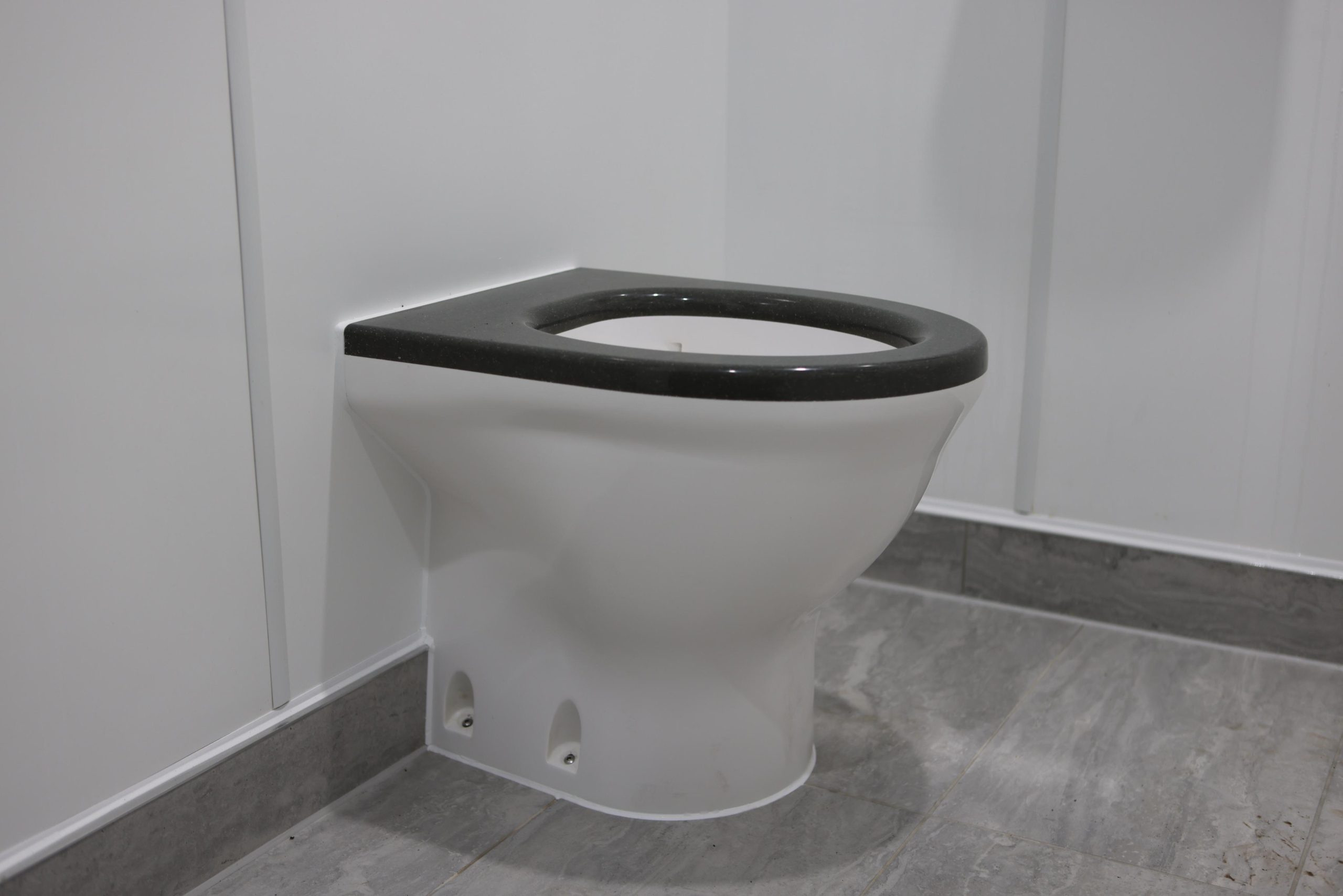 anti-vandal WC pan